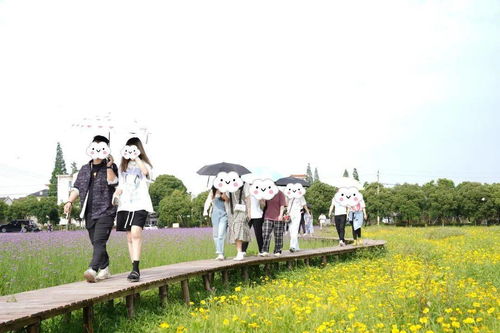 趣也青年 這個周末有點甜——戶外燒烤、游戲暢玩與花海打卡的動漫之旅